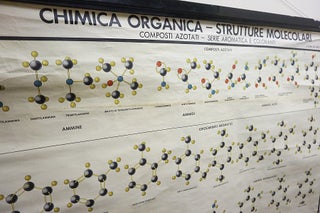 Item #12527 Chimica Organica - Strutture Molecolari (Chart) Organic Chemistry]. Bruno Ghetti