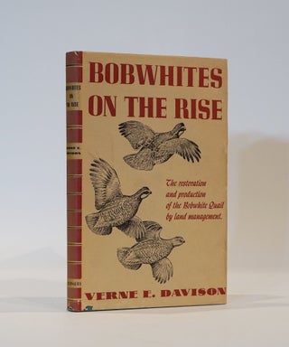 Item #44129 Bobwhites on The Rise. Verne E. Davison