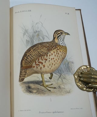 Catalogue of Birds in the British Museum. Catalogue of the Game Birds (Pterocletes, Gallinae, Opisthocomi, Hemipodii) in the Collection of the British Museum. Volume 22.