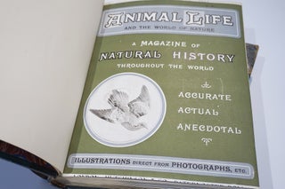 Animal Life and the World of Nature. A Magazine of Natural History Throughout the World.