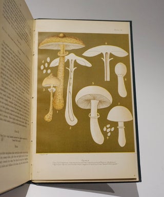 Item #47051 Student's Hand-Book of Mushrooms of America Edible and Poisonous. Thomas Taylor