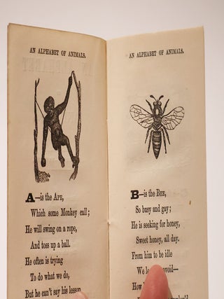 An Alphabet of Animals