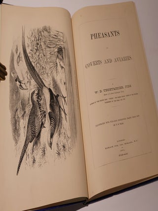Pheasants for Coverts and Aviaries.