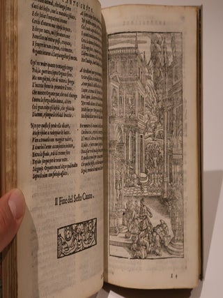 Il Brandigi del Capitan Clemente Pucciarini Aretino. Poema che continua la materia de l'Ariosto, di nuovo ristampato con le annotationi et figure nel principio de' canti.