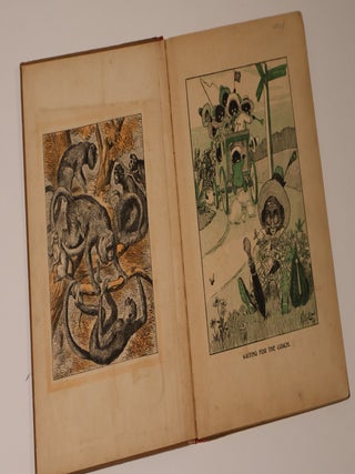 In the Wilds. A Book of Pictures and Tales about Animals