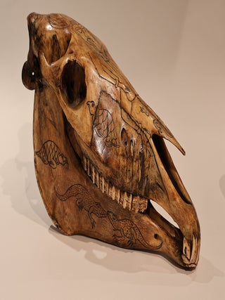 Item #49414 Occult Horse Skull