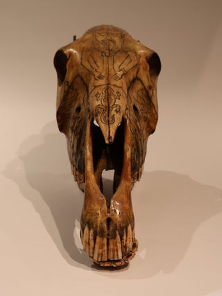 Occult Horse Skull
