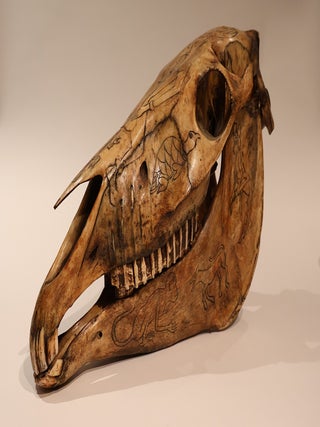 Occult Horse Skull