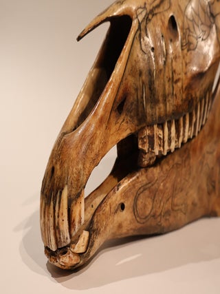 Occult Horse Skull