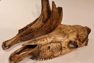 Occult Horse Skull