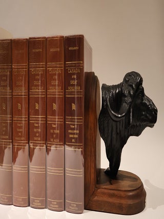 The Contender. African Cape Buffalo Bookends