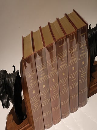 The Contender. African Cape Buffalo Bookends