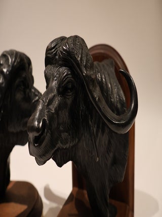 The Contender. African Cape Buffalo Bookends