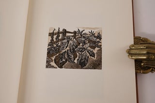 The Wood Engravings of Mary Skempton