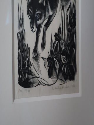 Fox