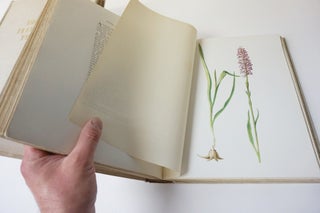 British Flowering Plants. Illustrated by Three Hundred Full-Page Coloured Plates...with Detailed Descriptive Notes...(4 Volumes)